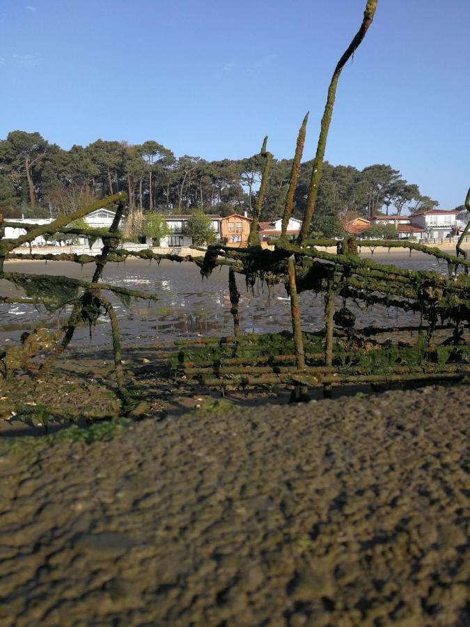 La Cabane Du Truquet Lege-Cap-Ferret Ngoại thất bức ảnh