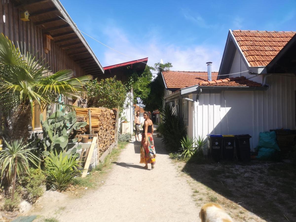 La Cabane Du Truquet Lege-Cap-Ferret Ngoại thất bức ảnh