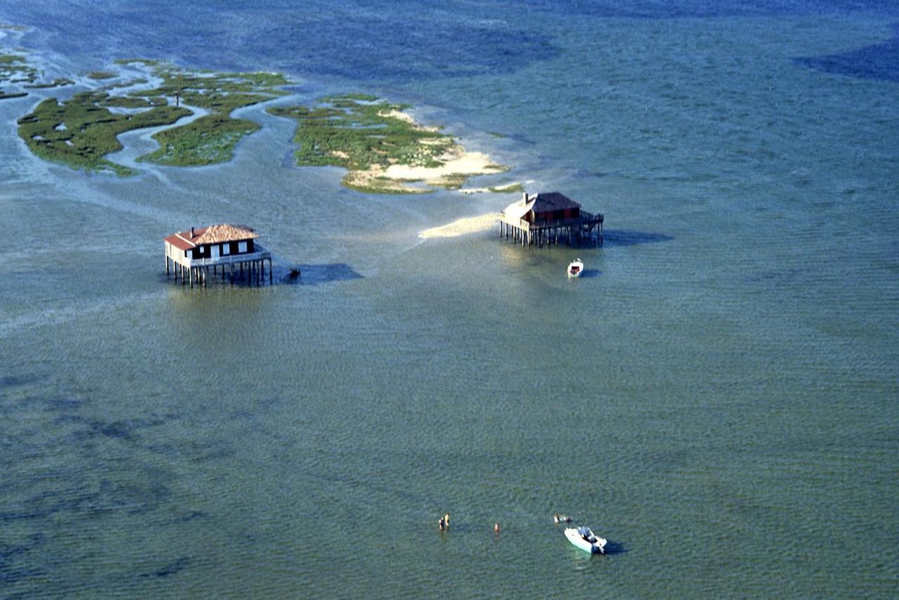 La Cabane Du Truquet Lege-Cap-Ferret Ngoại thất bức ảnh